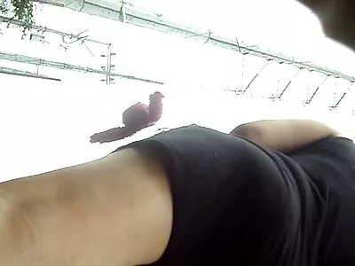 O amor tem algo especial para a segunda filme de pornô da mulher mais gostosa do mundo garota chamada cunnilingus