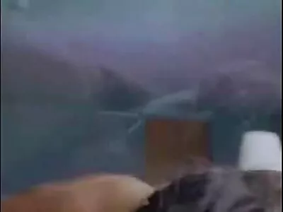 Gata atlética peituda fica com sua buceta apertada  recheada